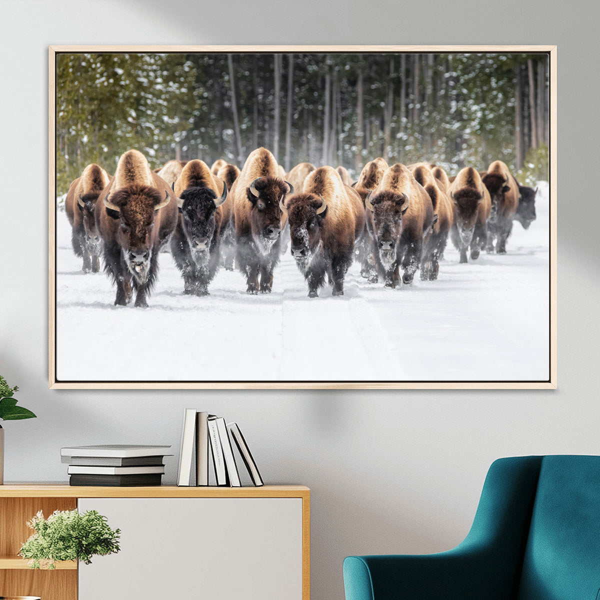American Bison Herd Wall Art Canvas Print – Powerful Winter