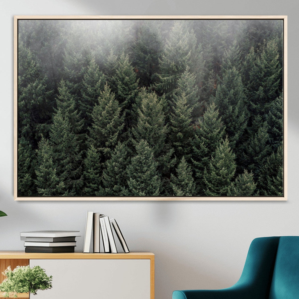 Dense Evergreen Forest Misty Morning Fog Pine Trees Woodland