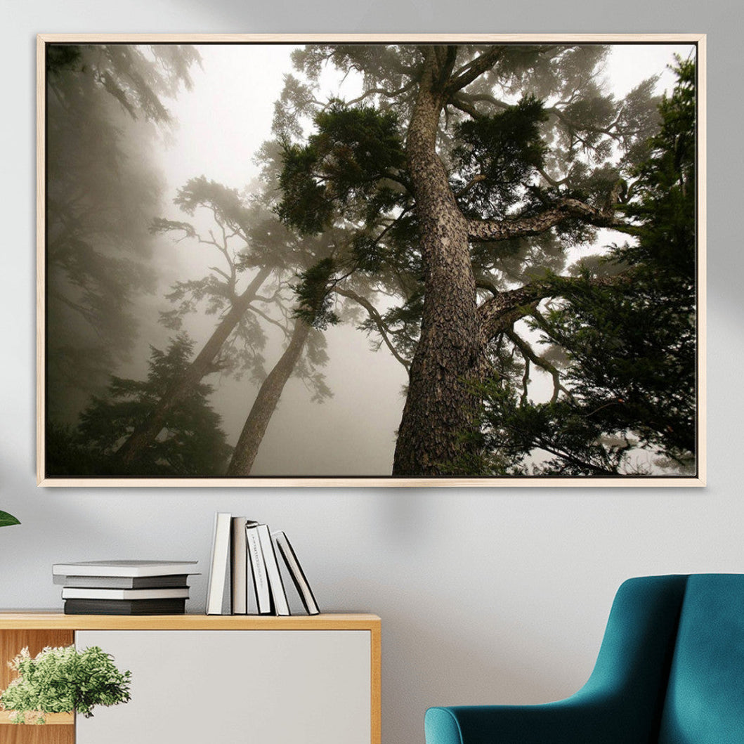 Misty Forest Canvas, Tall Trees Foggy Atmosphere Nature
