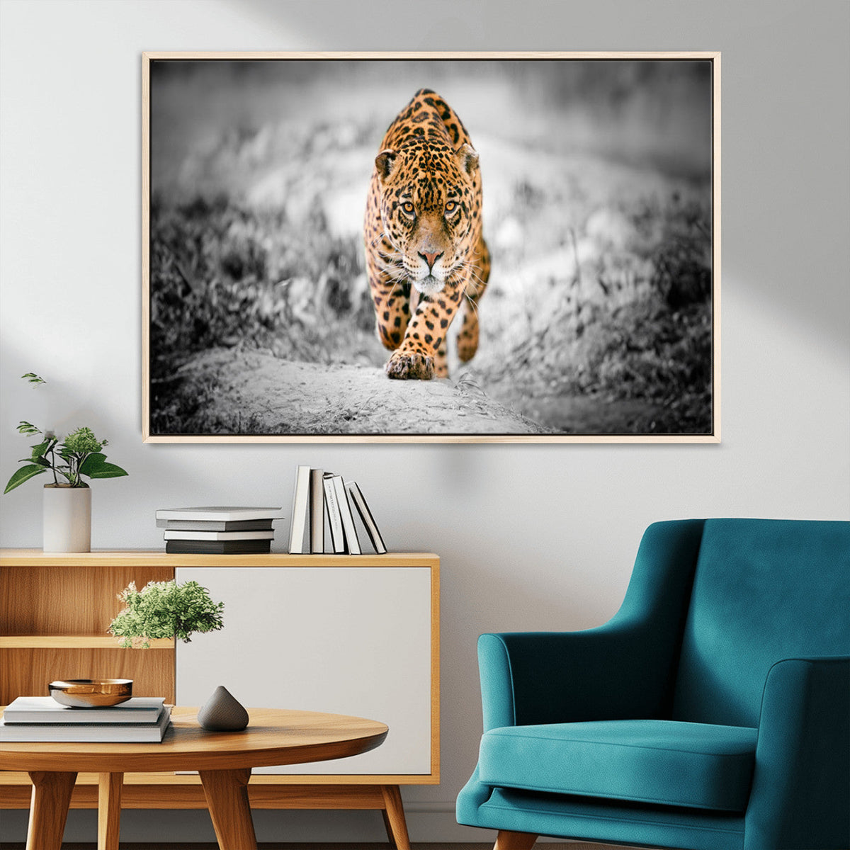 Jaguar Wall Art Canvas Print - Majestic Big Cat in Focused