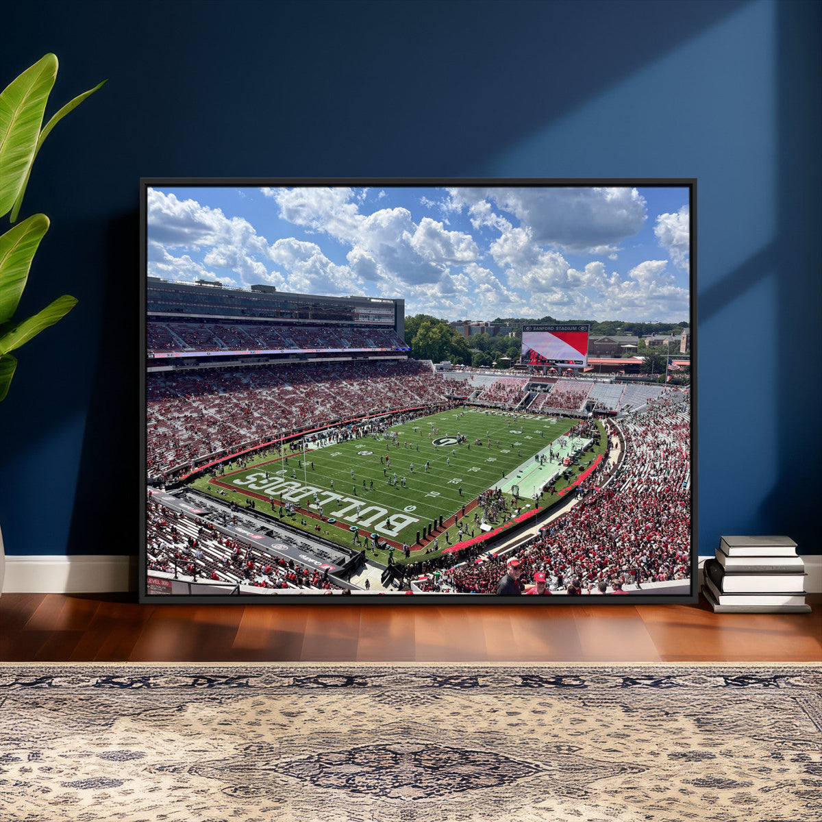 Georgia Bulldogs Stadium Wall Art Canvas Print, Sanford