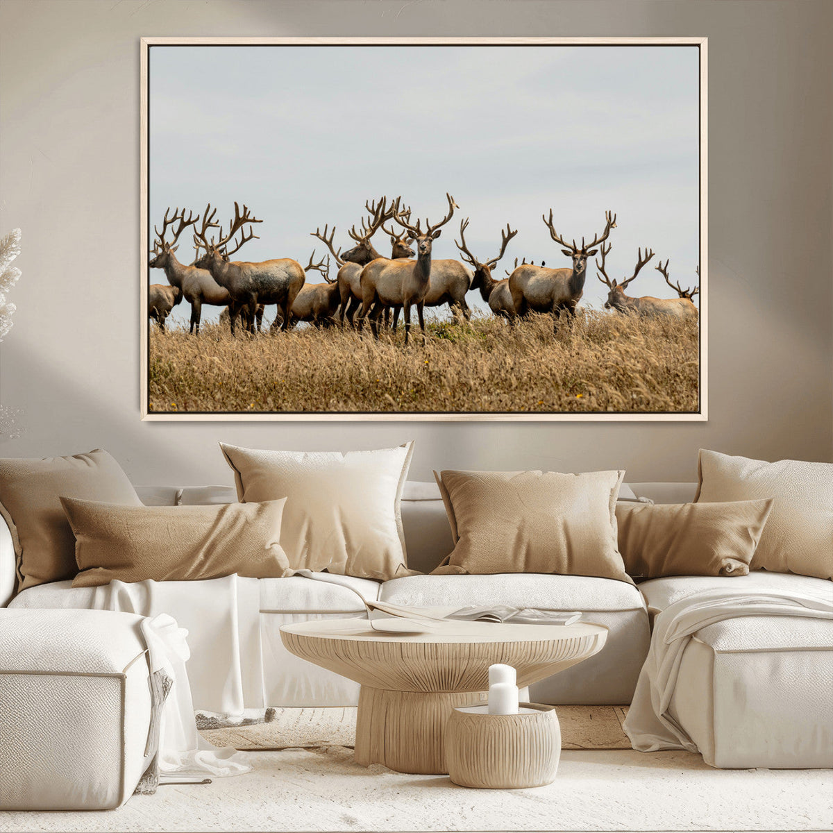 Elk Herd Wall Art Canvas Print – Framed Wildlife Photography
