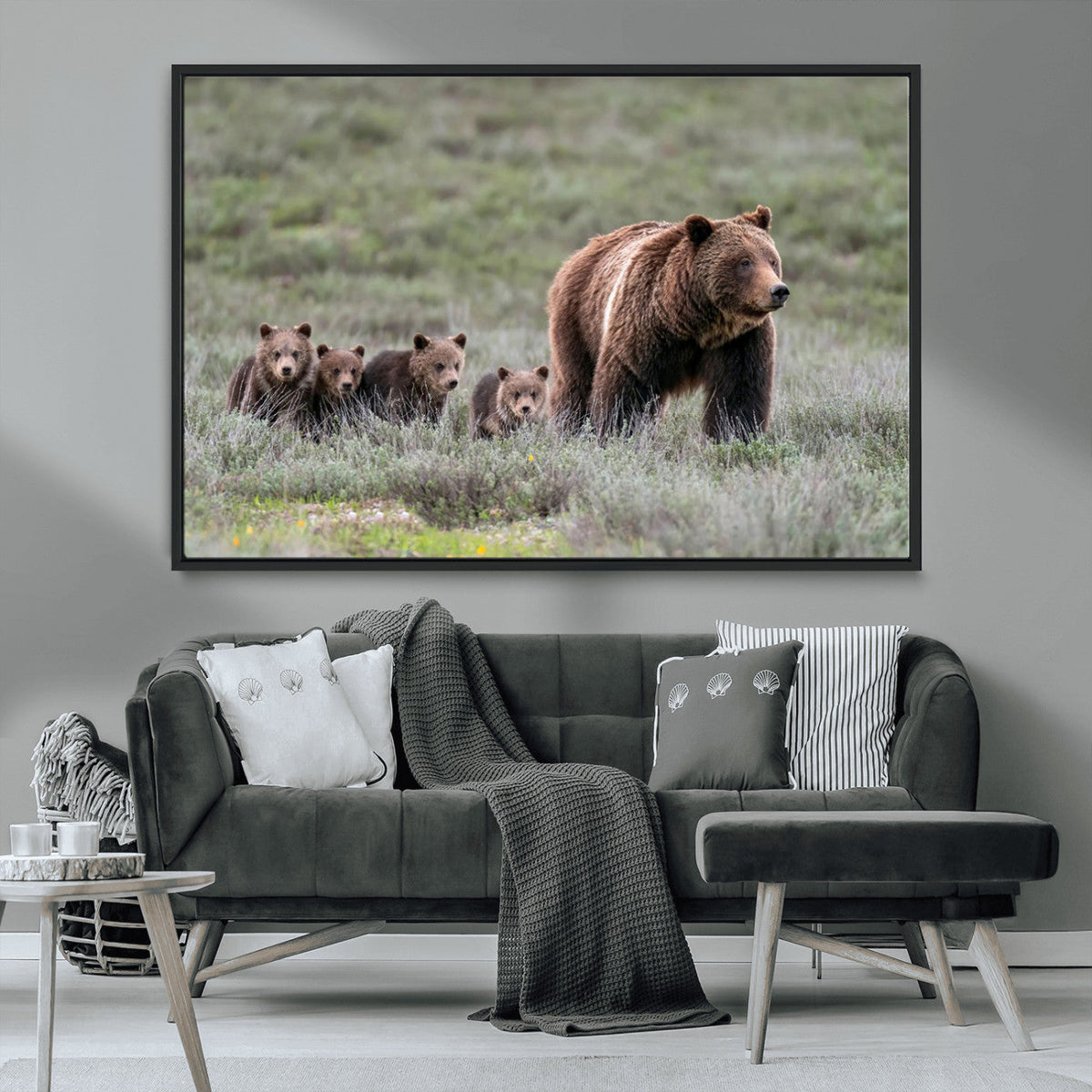 Wildlife Photography of 399 Grizzly Bear Cubs | Queen of the