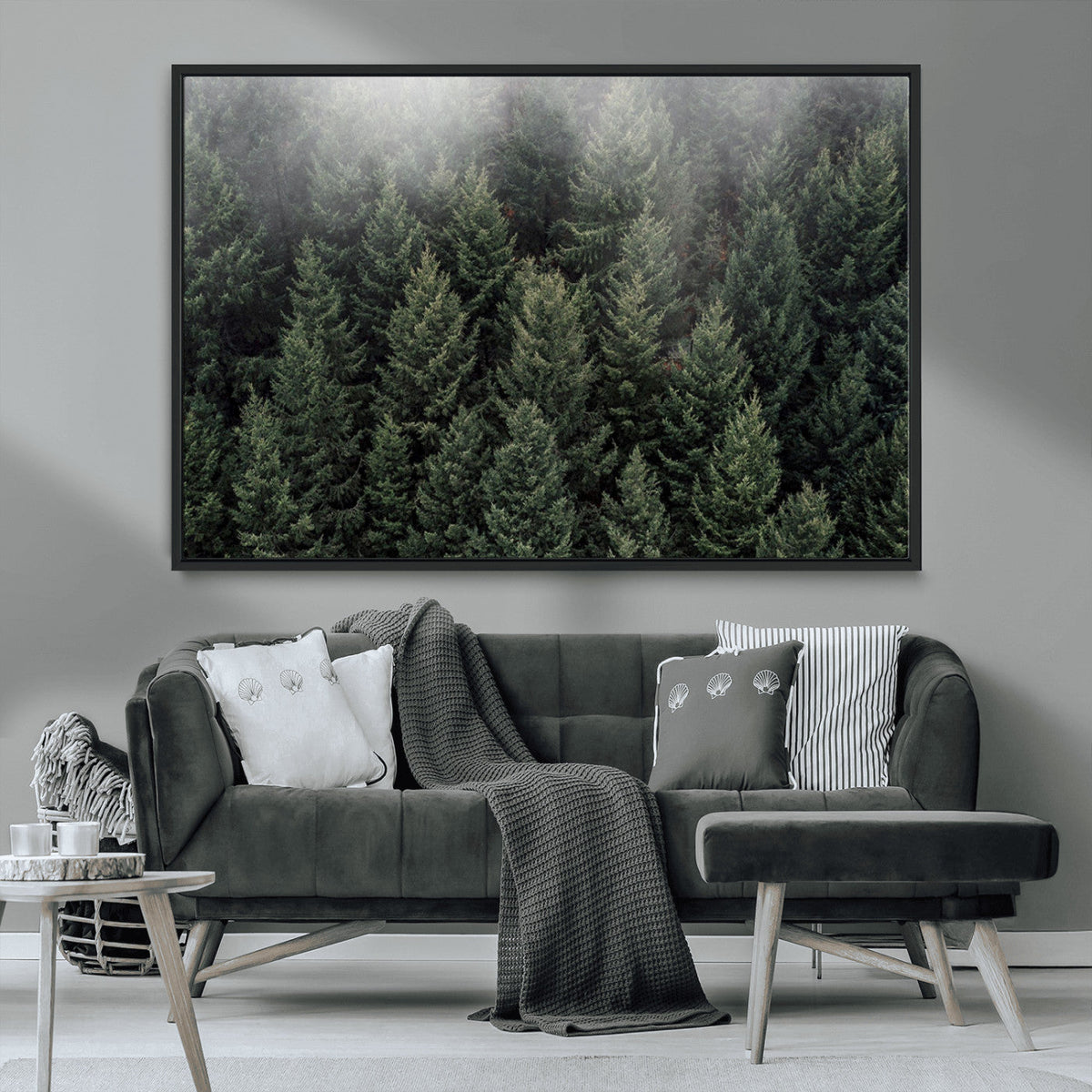 Dense Evergreen Forest Misty Morning Fog Pine Trees Woodland