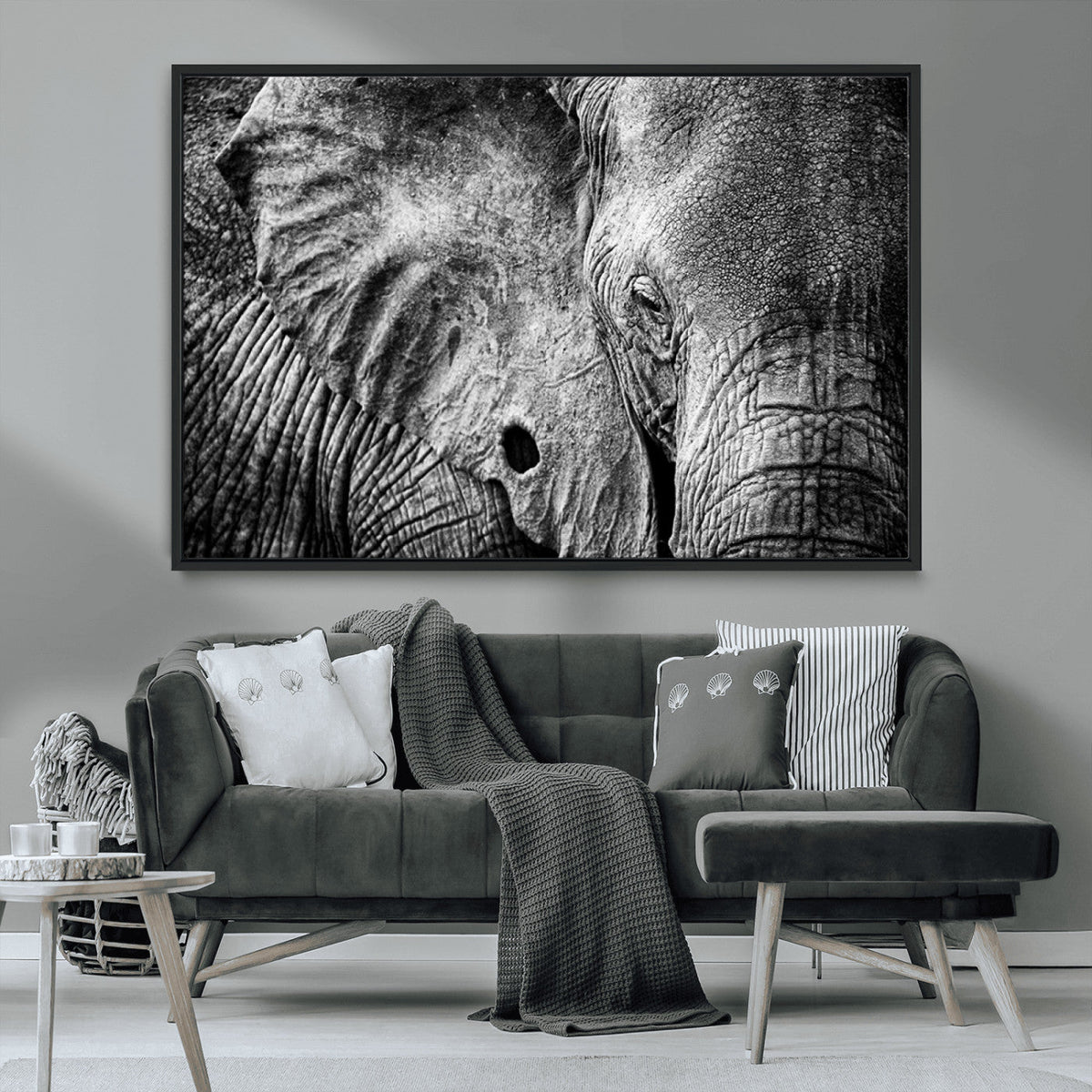 Wild Old Elephant Wall Art Canvas Print