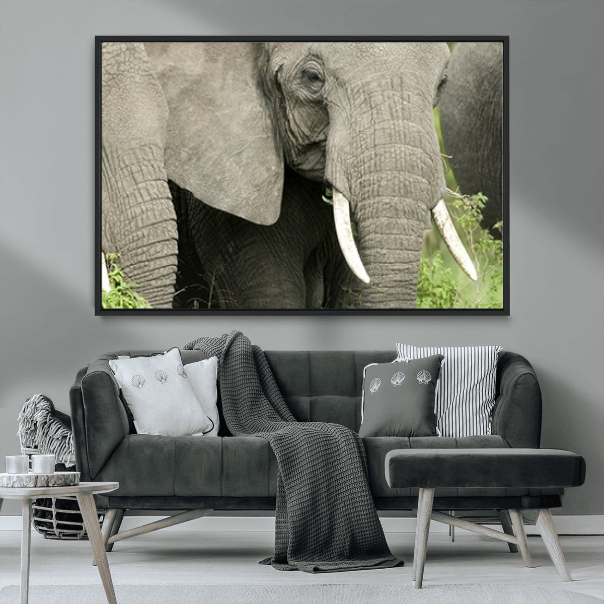 Wild Elephant Wall Art Canvas Print