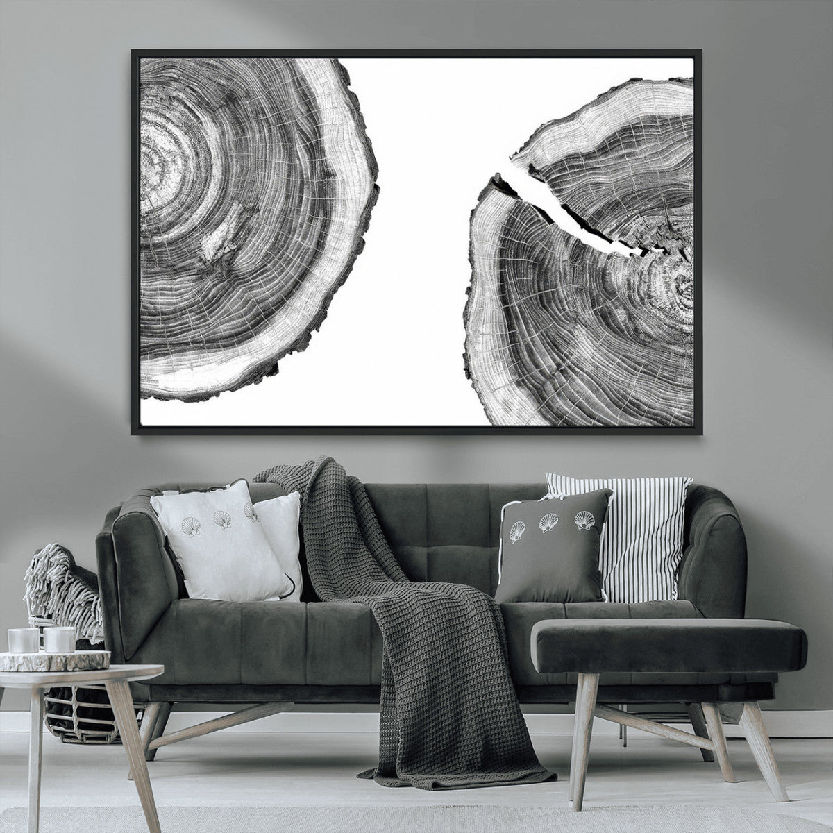 Abstract Large Tree Rings – Minimalist Black and White Wood