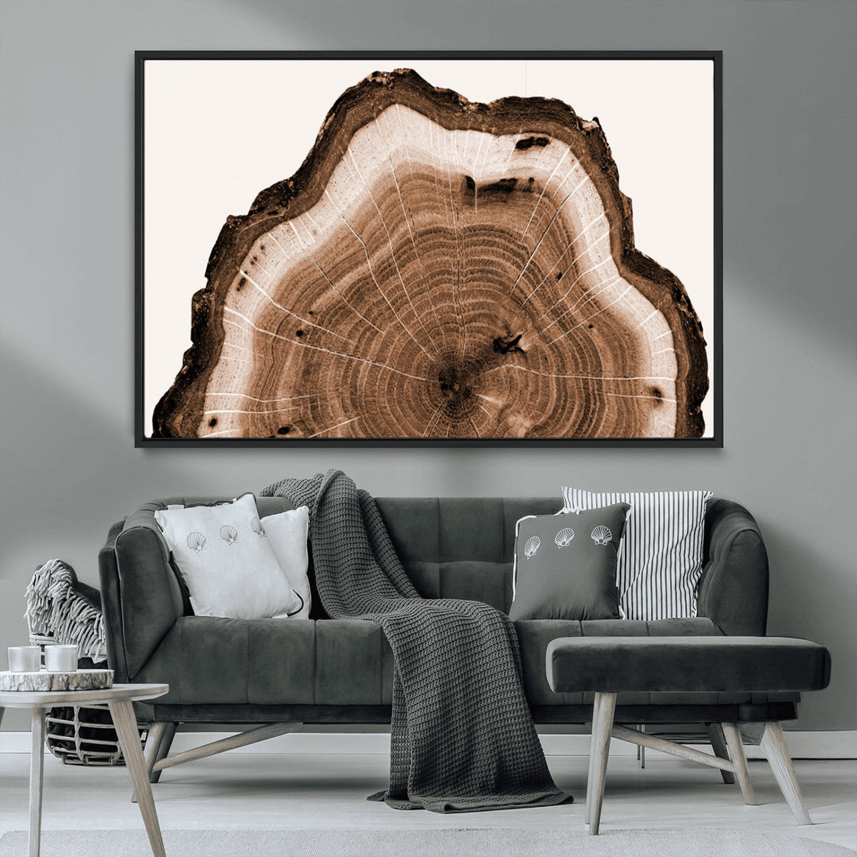 Rustic Wood Rings Wall Art | Nature-Inspired Tree Ring