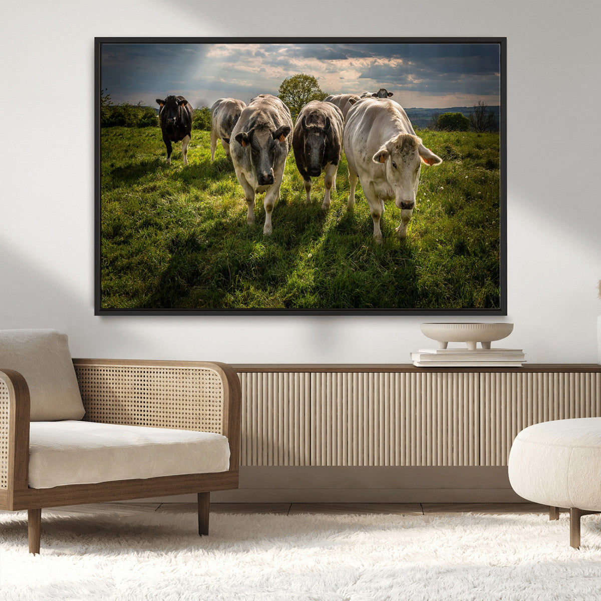 Grazing Cattle Herd Pasture Green Field Livestock Natural