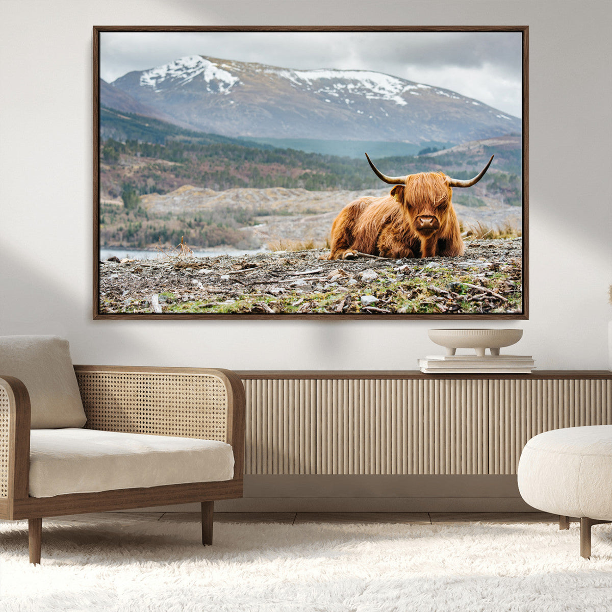 Highland Cow Horn Farm Wall Art Canvas Print