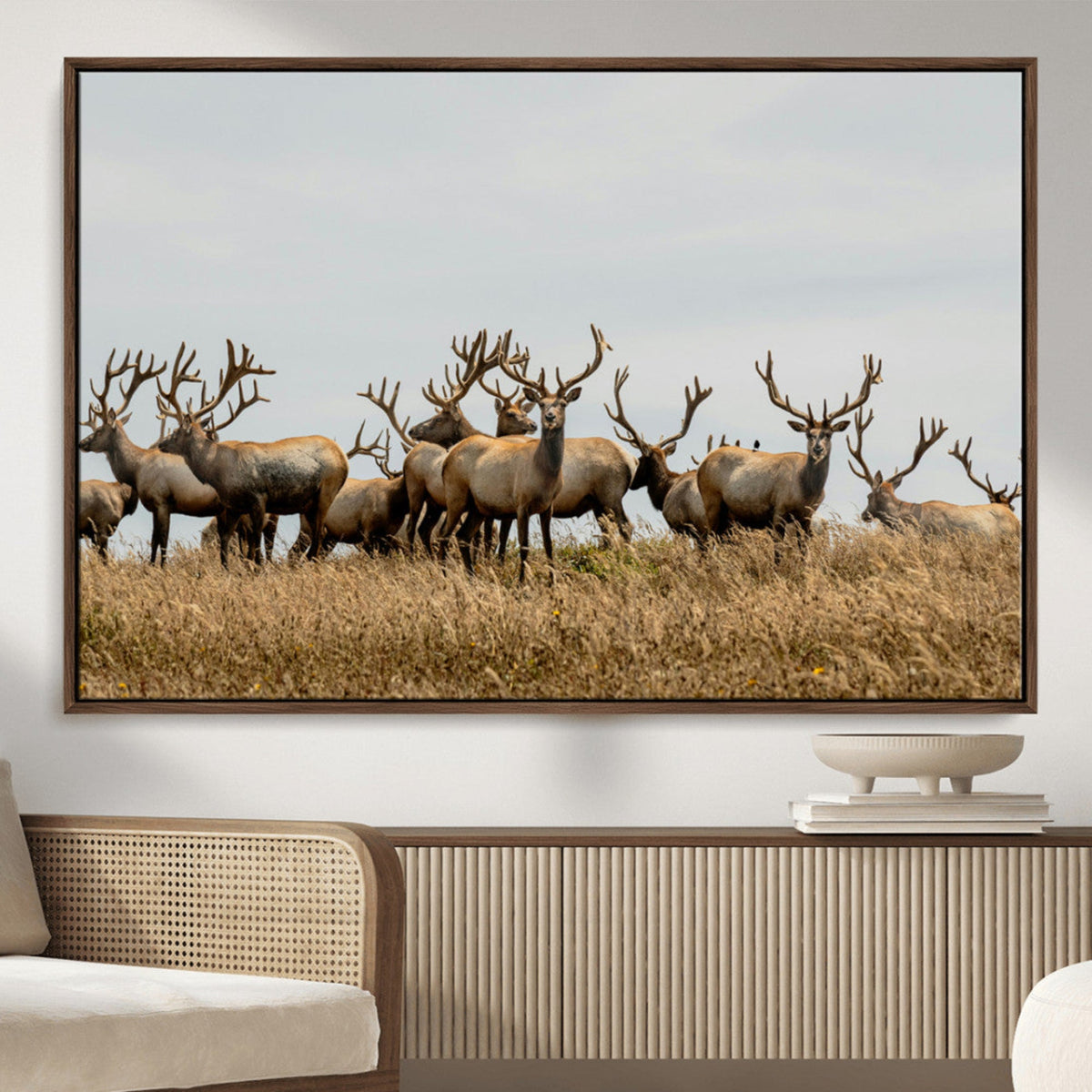 Elk Herd Wall Art Canvas Print – Framed Wildlife Photography
