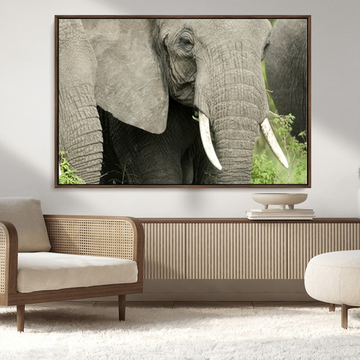 Wild Elephant Wall Art Canvas Print
