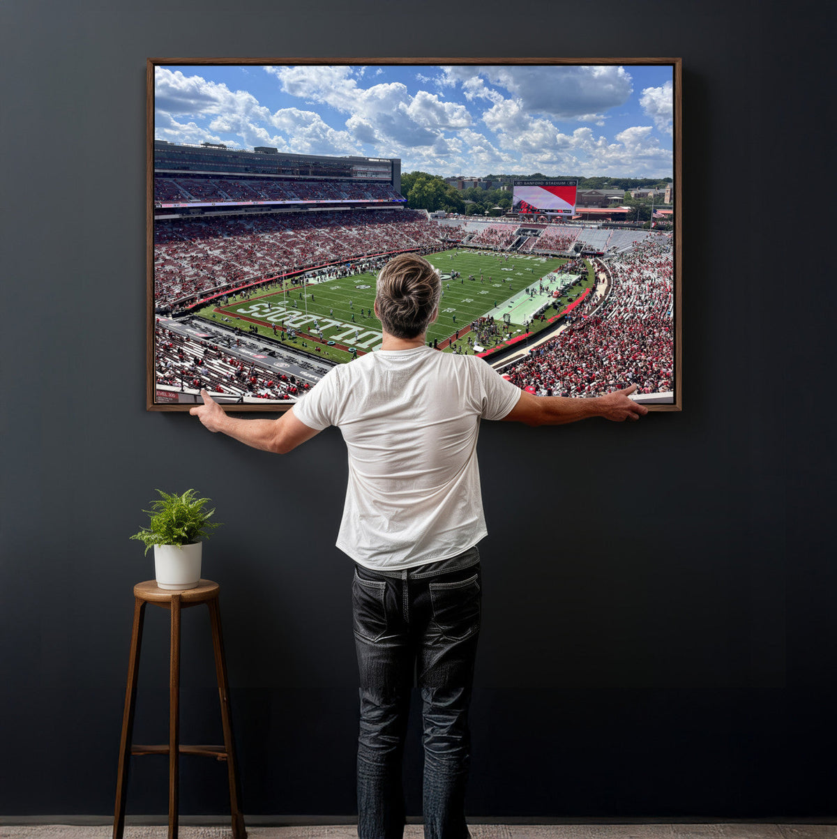 Georgia Bulldogs Stadium Wall Art Canvas Print, Sanford