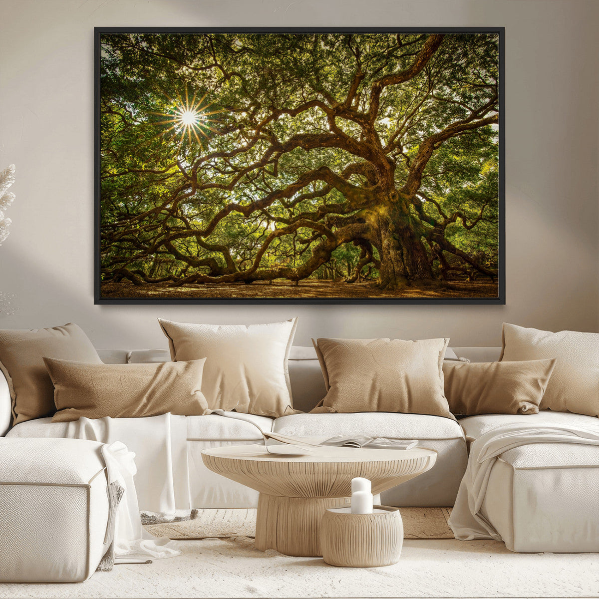 Ancient Angel Oak Tree Art Sunburst Canvas Print-