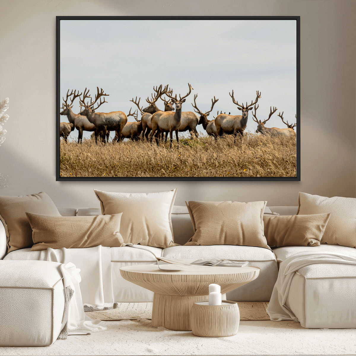 Elk Herd Wall Art Canvas Print – Framed Wildlife Photography
