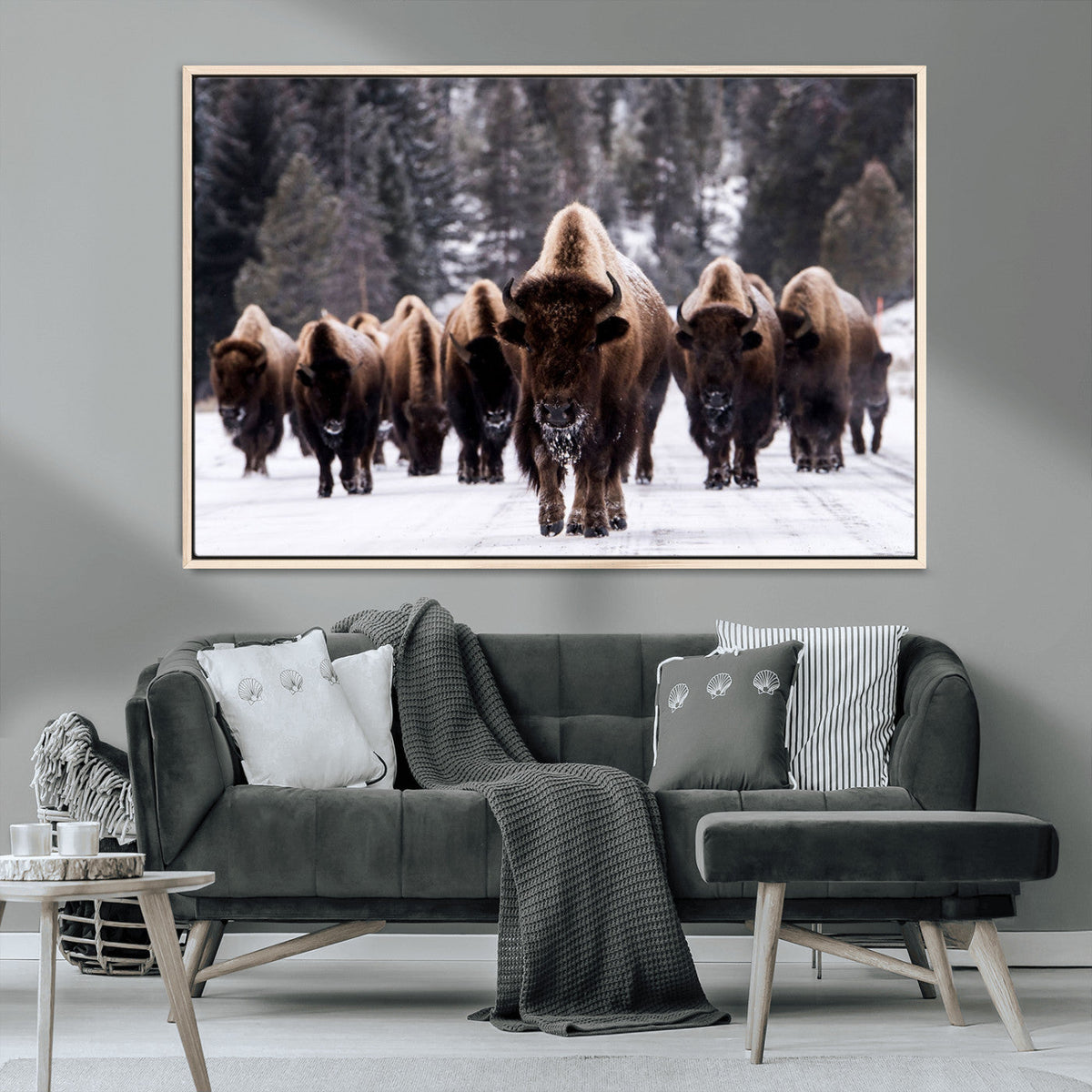 Bison Wall Art Canvas Print- Bison Herd Canvas Wall Art –