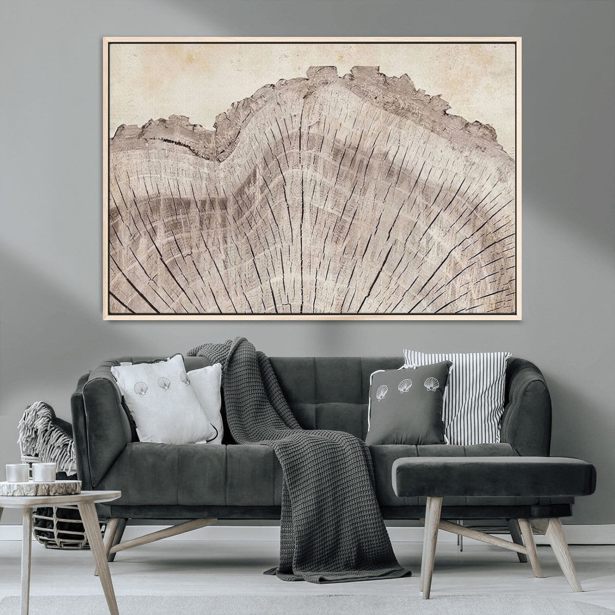 Tree Ring Wall Art Triptych, Rustic Wood Ring Canvas Print,