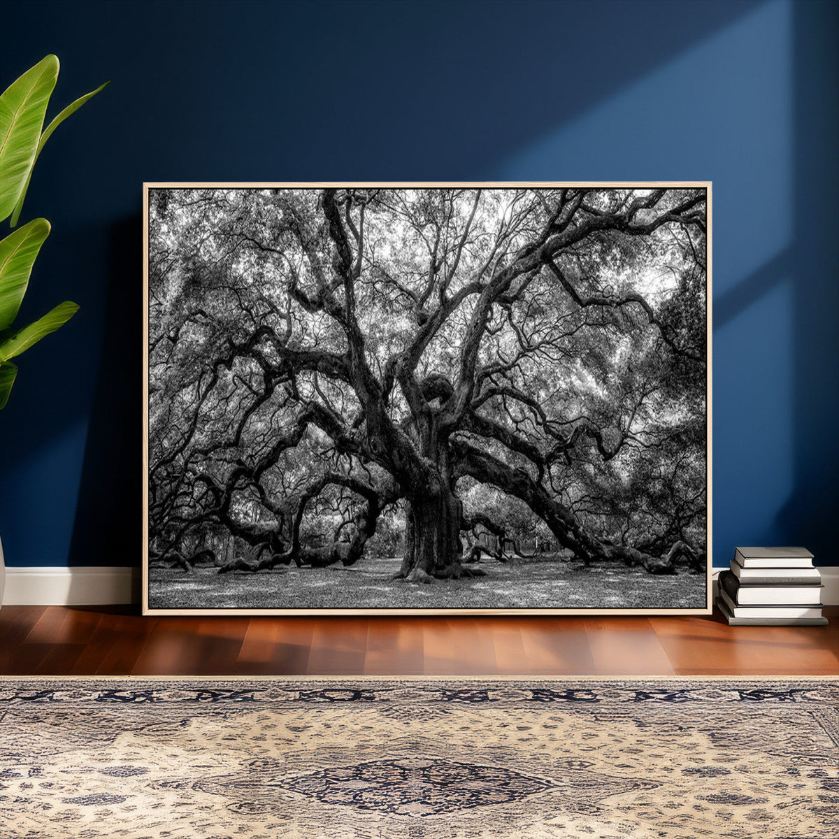Black and White Old Angel Oak Tree Wall Art Canvas Print