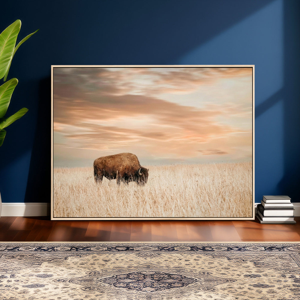 MyCanvas -