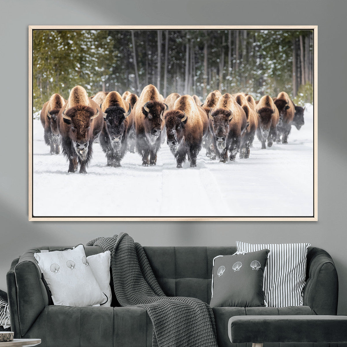 American Bison Herd Wall Art Canvas Print – Powerful Winter