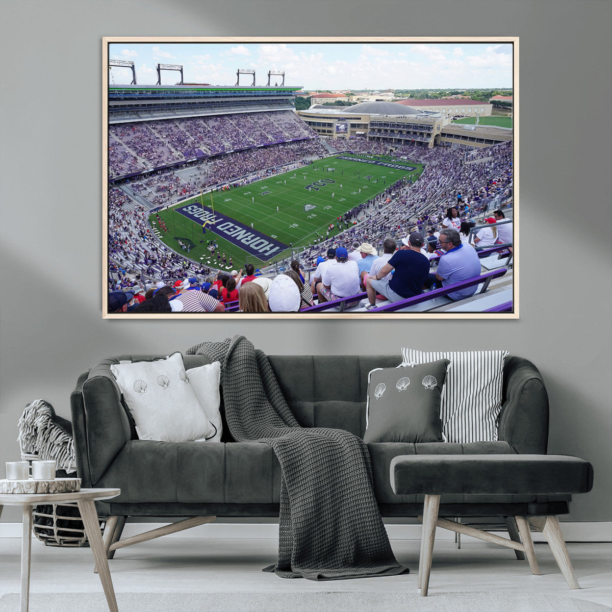 The Texas Christian University TCU Horned Frogs Football