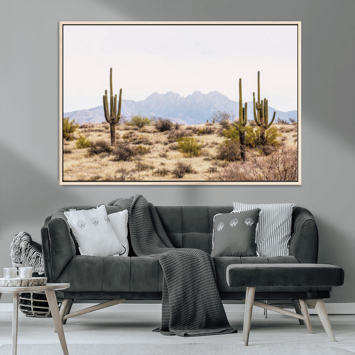 Arizona Desert Wall Art Print | Arizona Desert Canvas Print