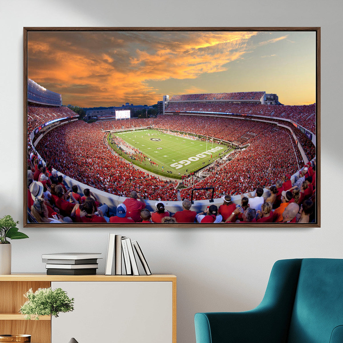 Dooley Stadium Wall Art, Sports Arena Canvas Print, Dooley