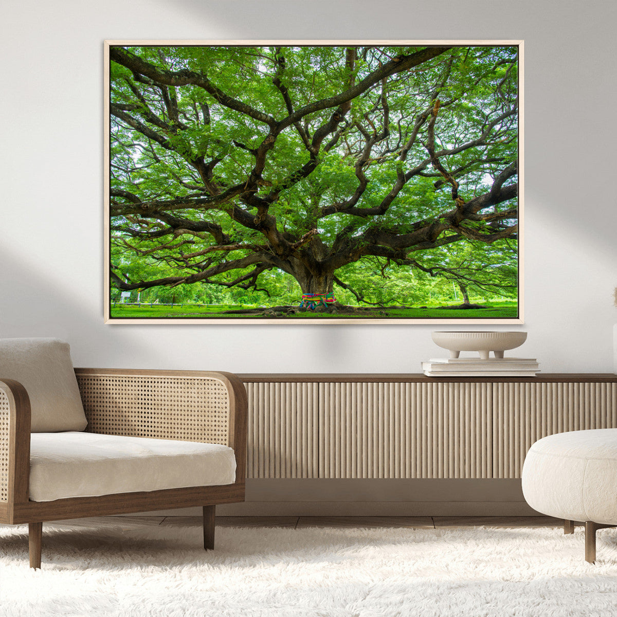 Angel Oak Tree Wall Art Canvas Print – Framed Majestic