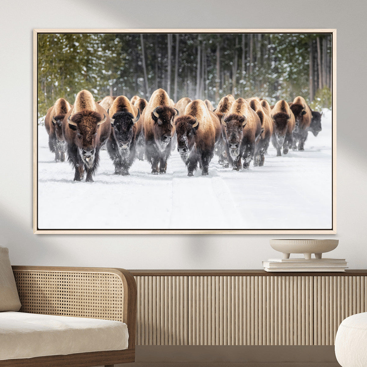 American Bison Herd Wall Art Canvas Print – Powerful Winter