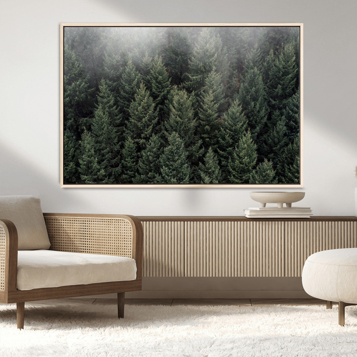 Dense Evergreen Forest Misty Morning Fog Pine Trees Woodland