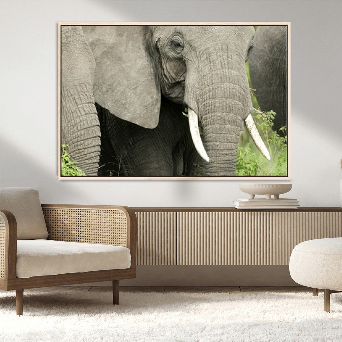 Wild Elephant Wall Art Canvas Print