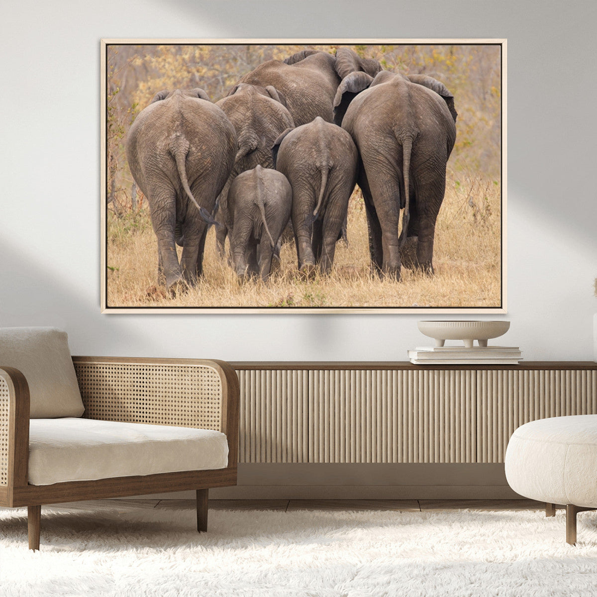 Wild Elephant Wall Art Canvas Print