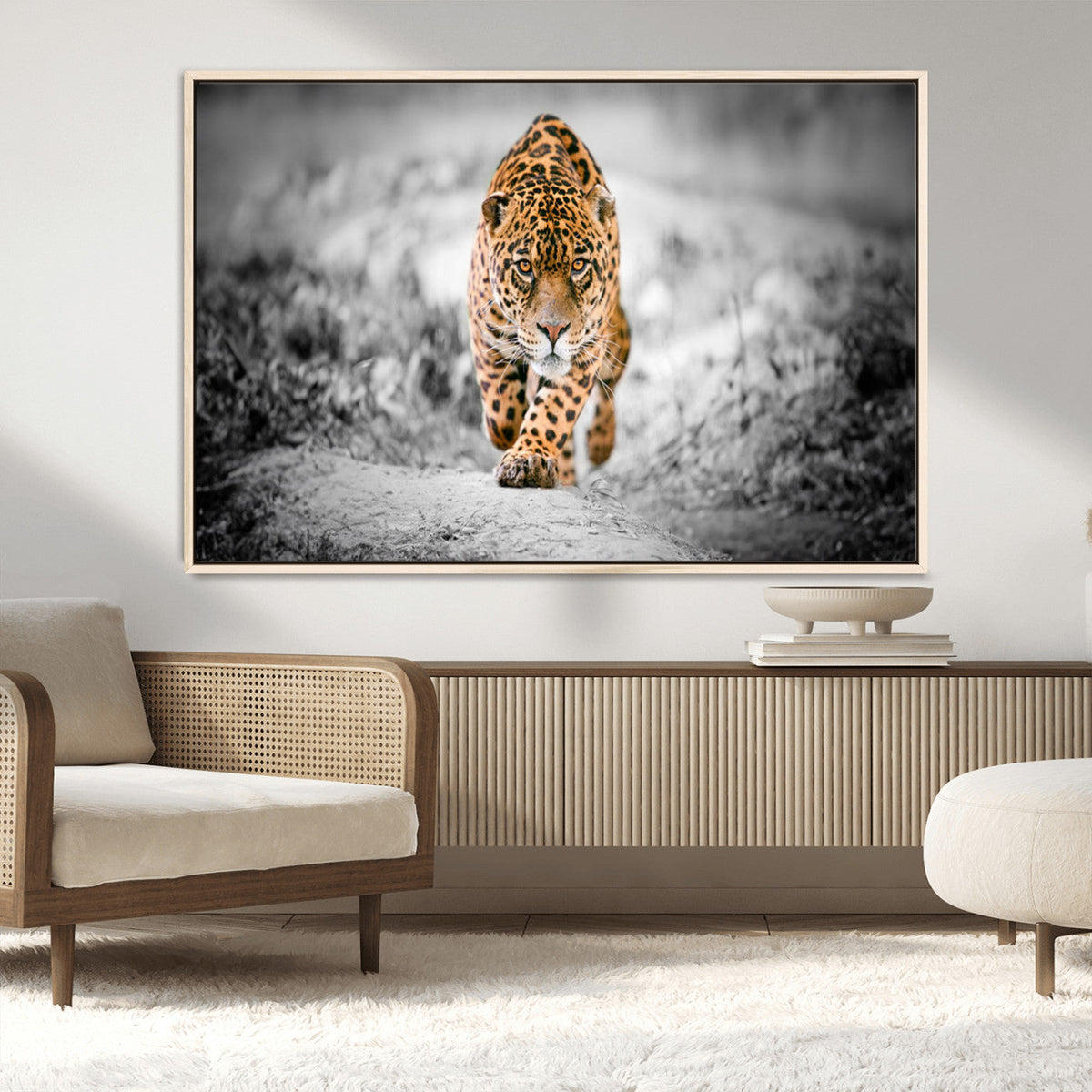 Jaguar Wall Art Canvas Print - Majestic Big Cat in Focused