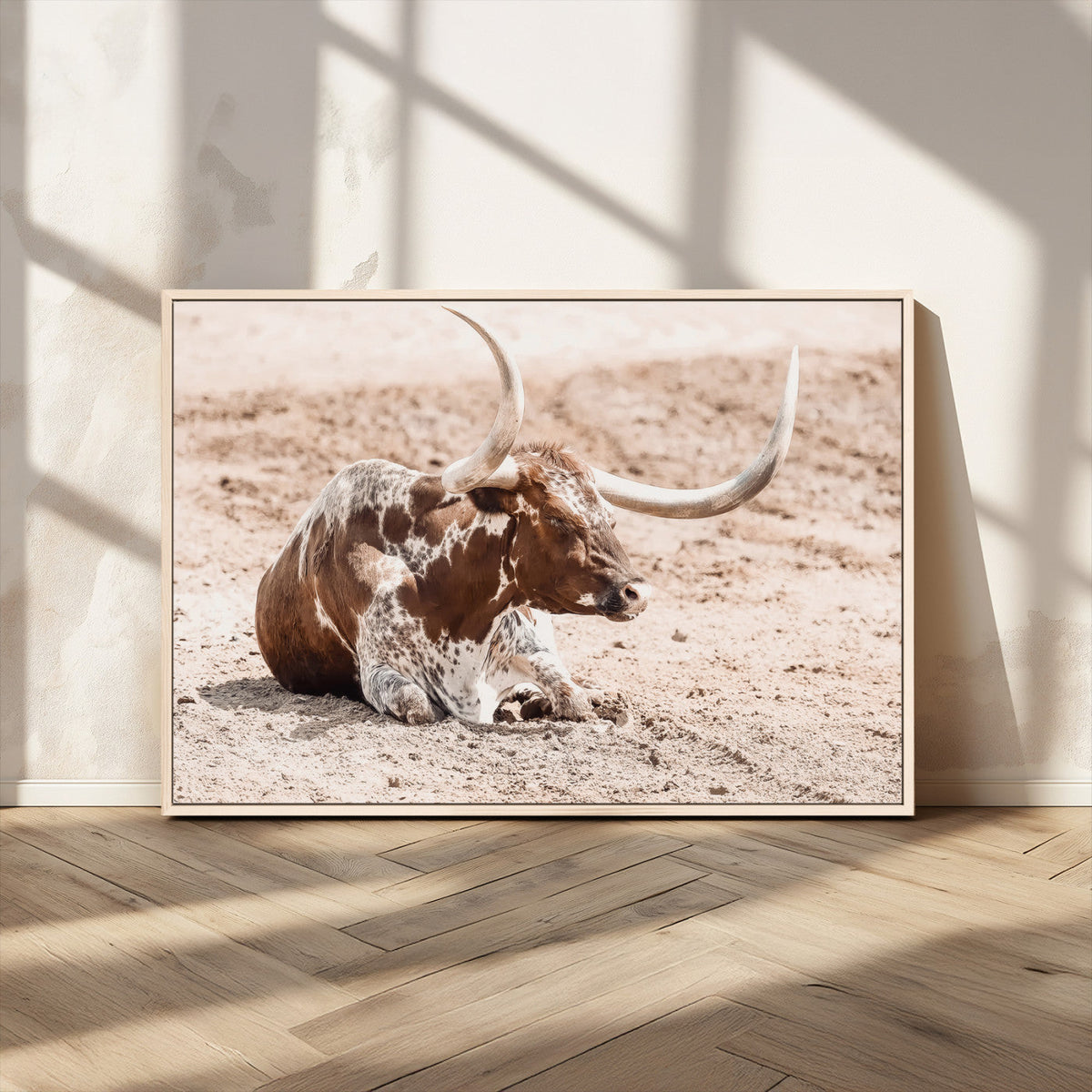 Texas Longhorn Wall Art Canvas Print – Framed Resting Bull