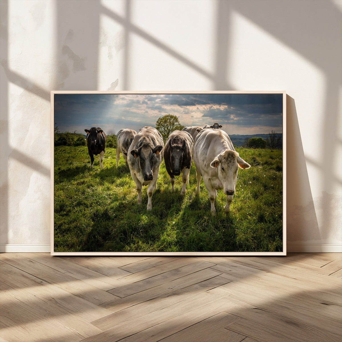 Grazing Cattle Herd Wall Art Canvas Print, Majestic Farm