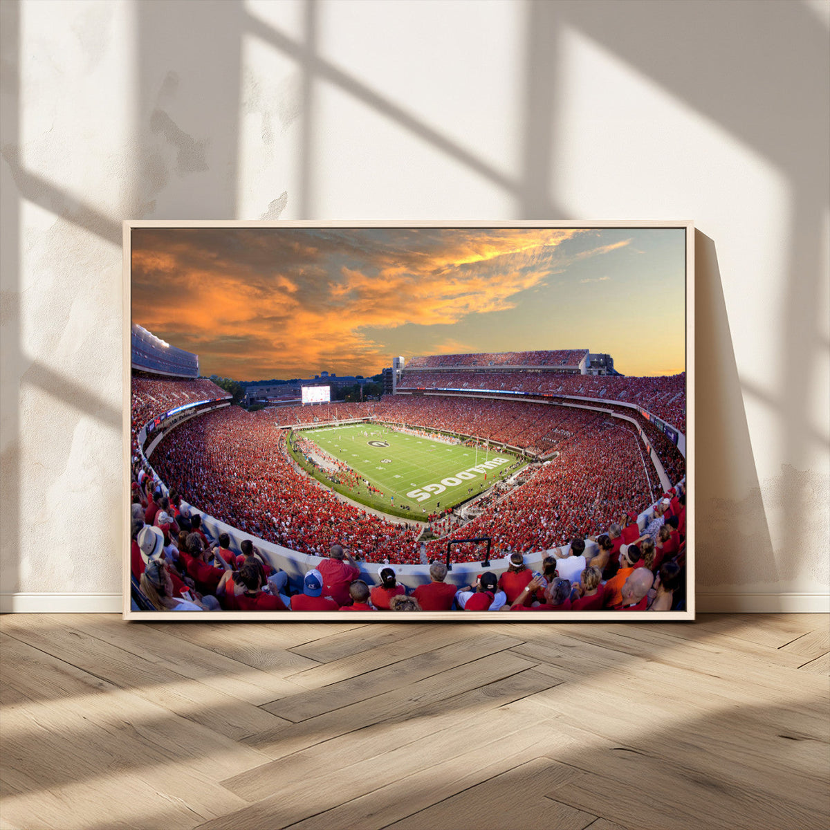 Dooley Stadium Wall Art, Sports Arena Canvas Print, Dooley