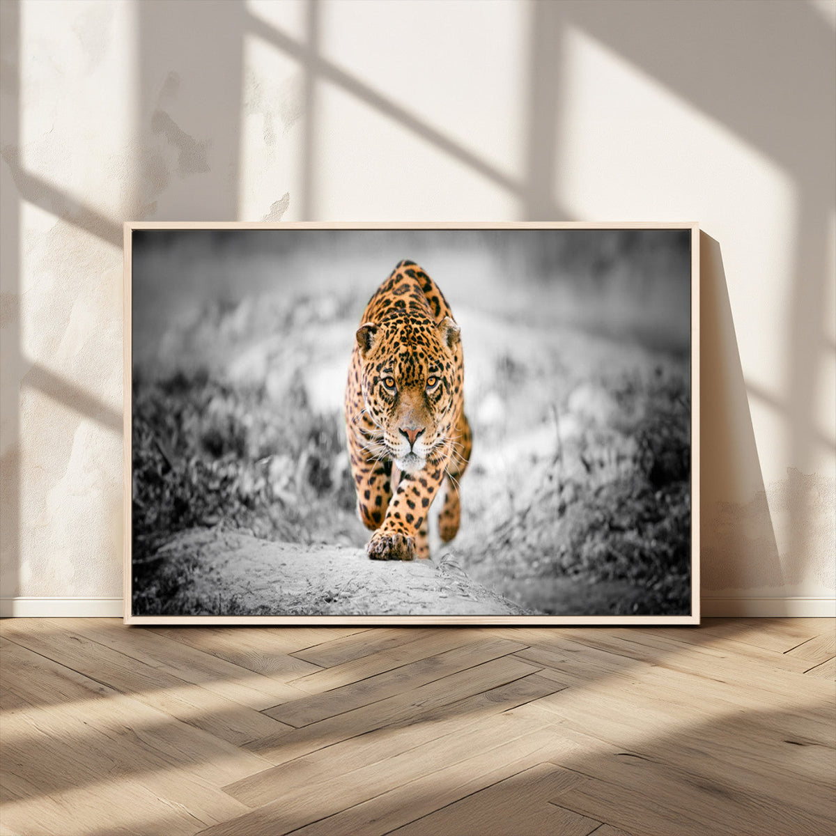 Jaguar Wall Art Canvas Print - Majestic Big Cat in Focused