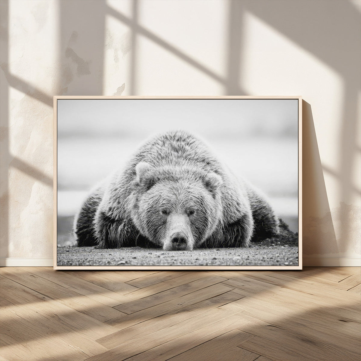 Resting Grizzly Bear Wall Art Canvas Print – Majestic Lazy