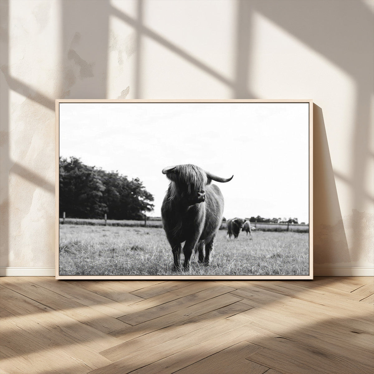 Black and White Highland Cow Wall Art Canvas Print | Rustic