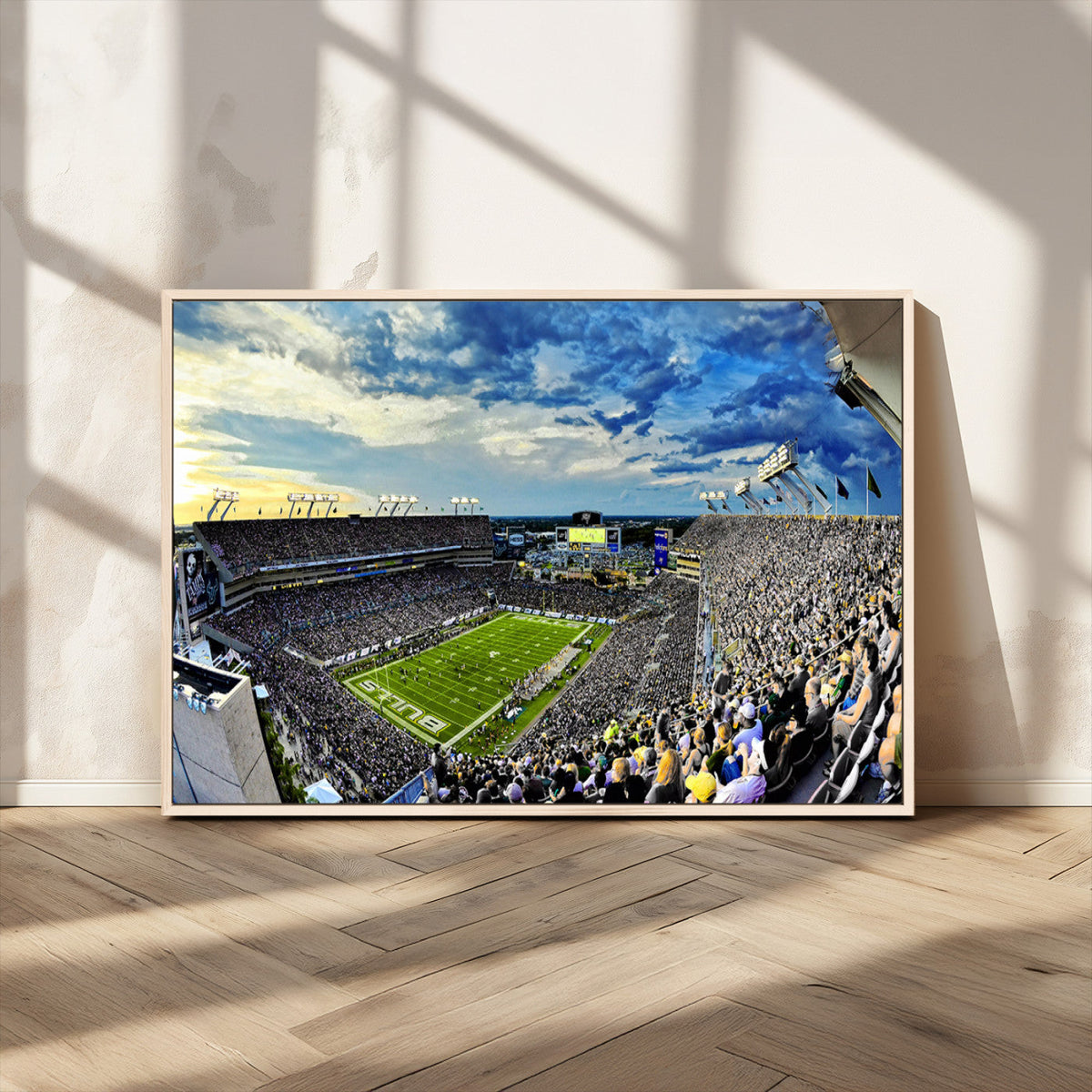 Framed USF Bulls Football Team Print - Tampa Raymond James