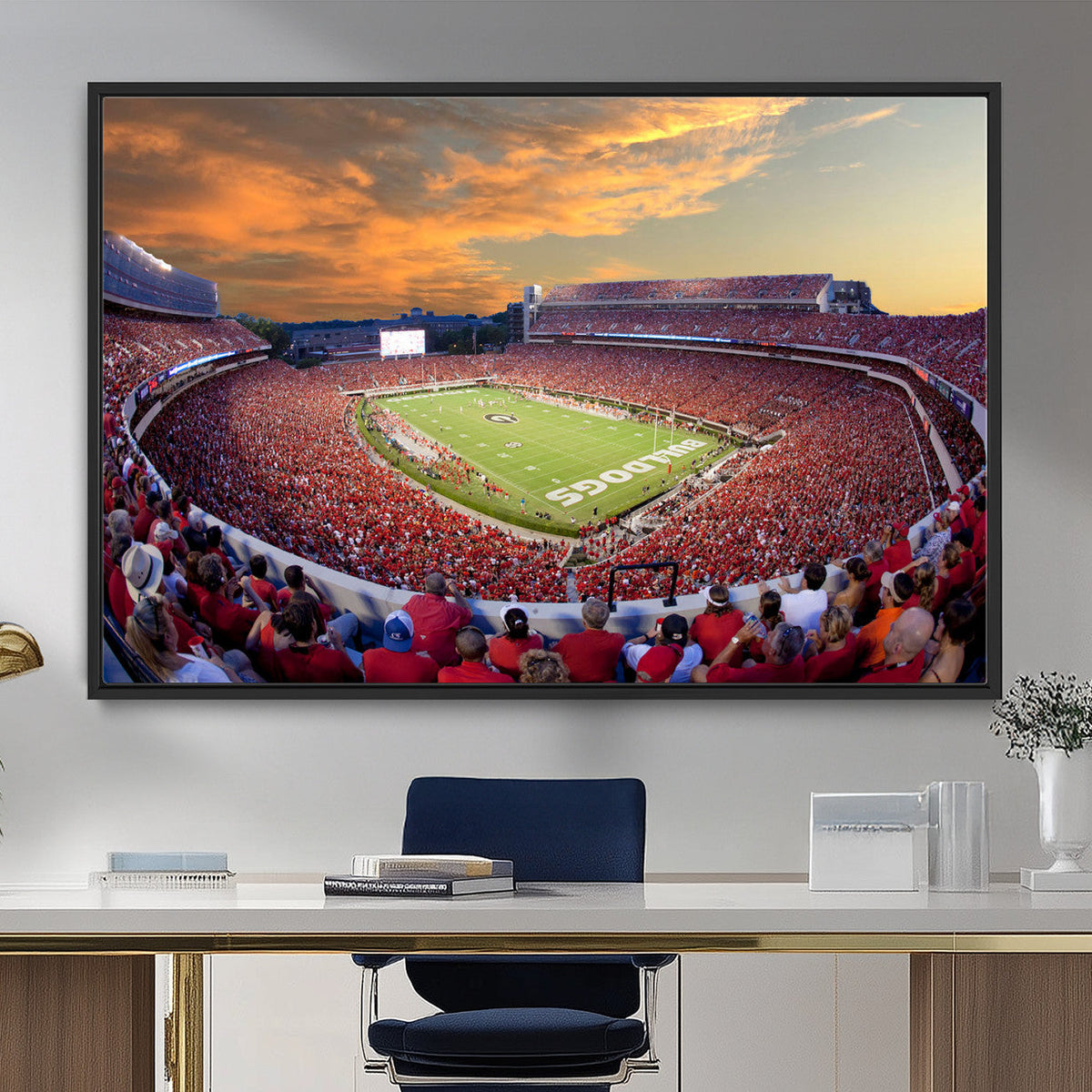 Dooley Stadium Wall Art, Sports Arena Canvas Print, Dooley