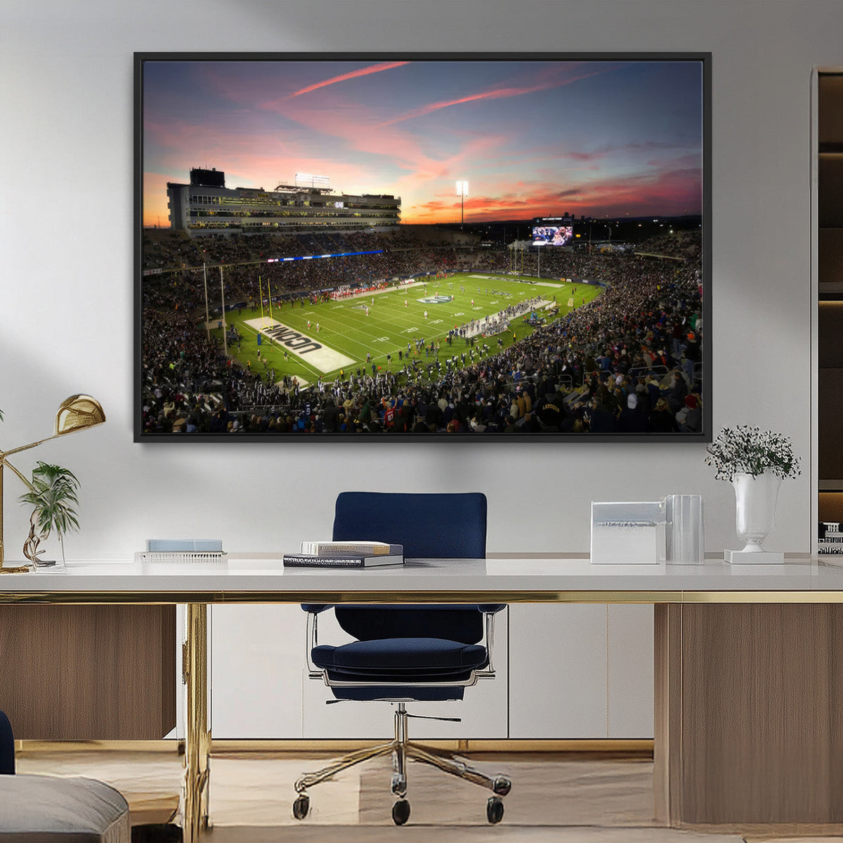The University of Connecticut UCONN Huskies Football Team