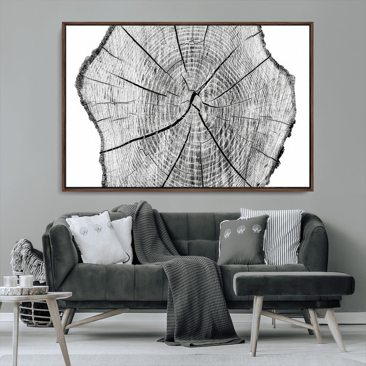 Rustic Tree Ring Wall Art Canvas Print – Framed and Ready to