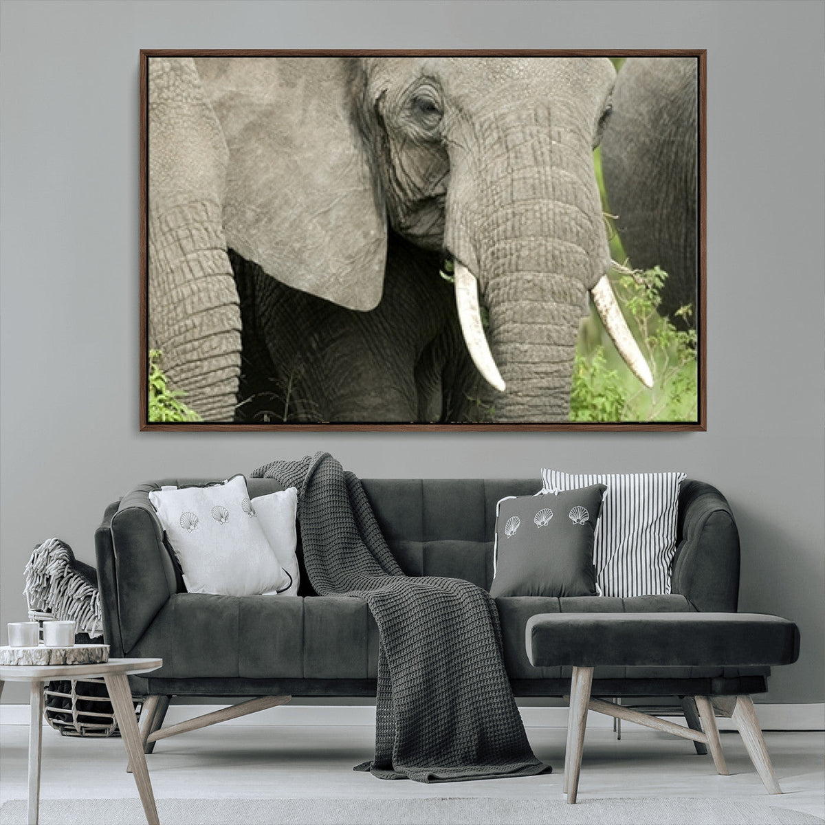 Wild Elephant Wall Art Canvas Print