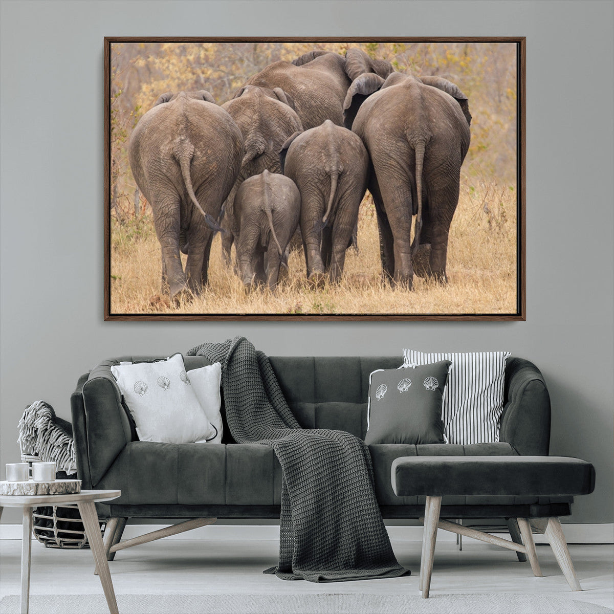 Wild Elephant Wall Art Canvas Print