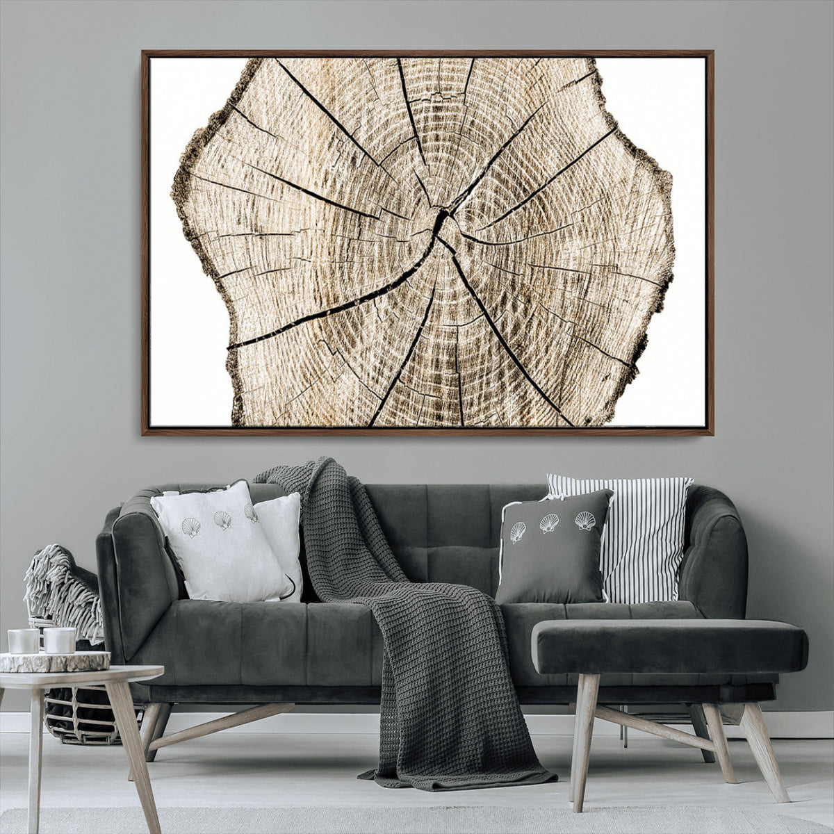 Abstract Wood Tree Ring Wall Art - Ready to Hang Minimalist