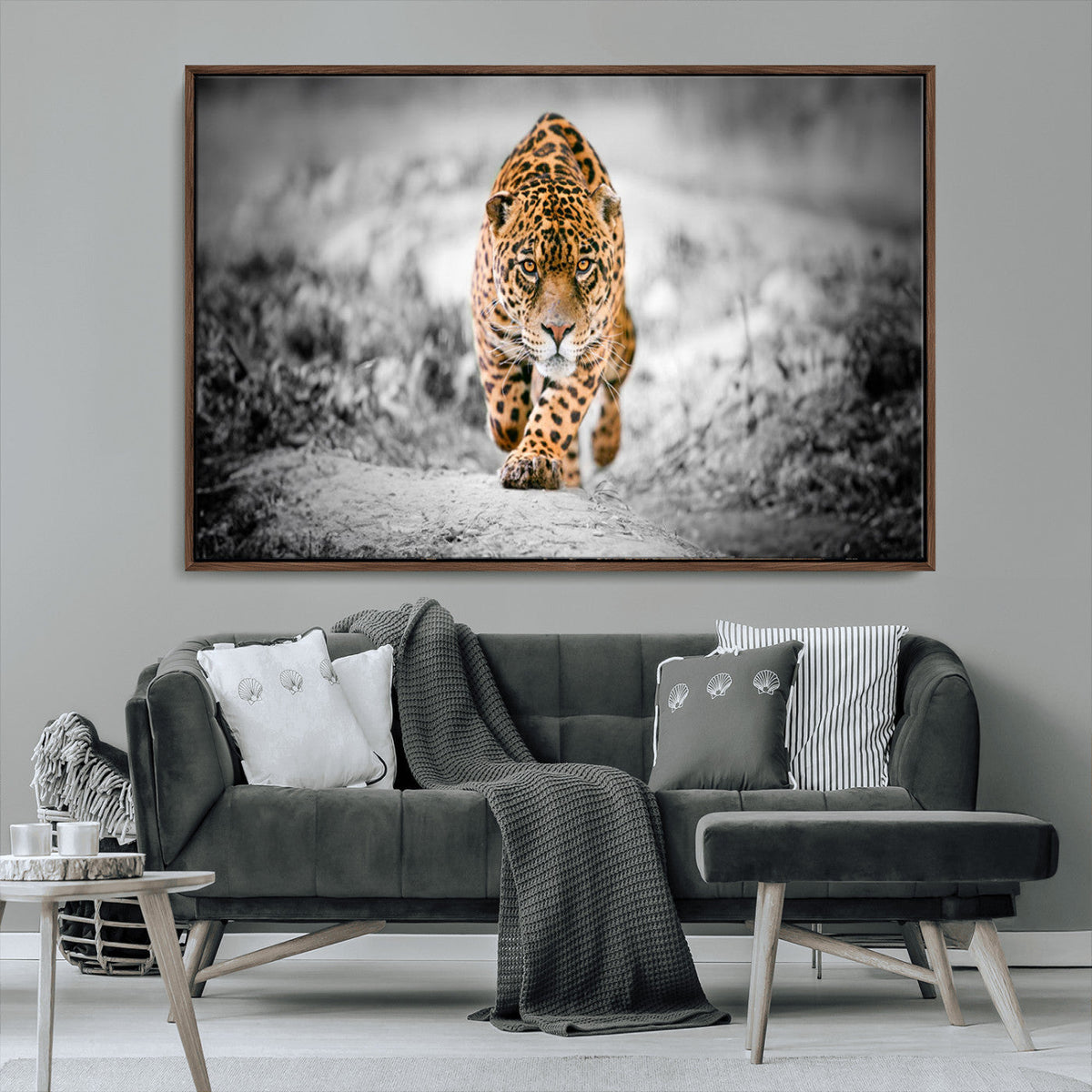 Jaguar Wall Art Canvas Print - Majestic Big Cat in Focused