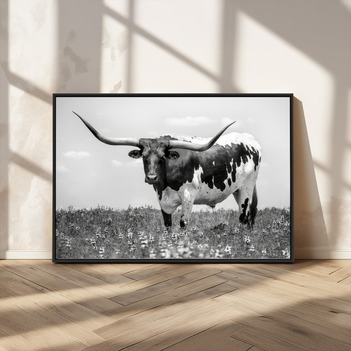 Texas Black White Highland Longhorn Cow Wall Art Canvas
