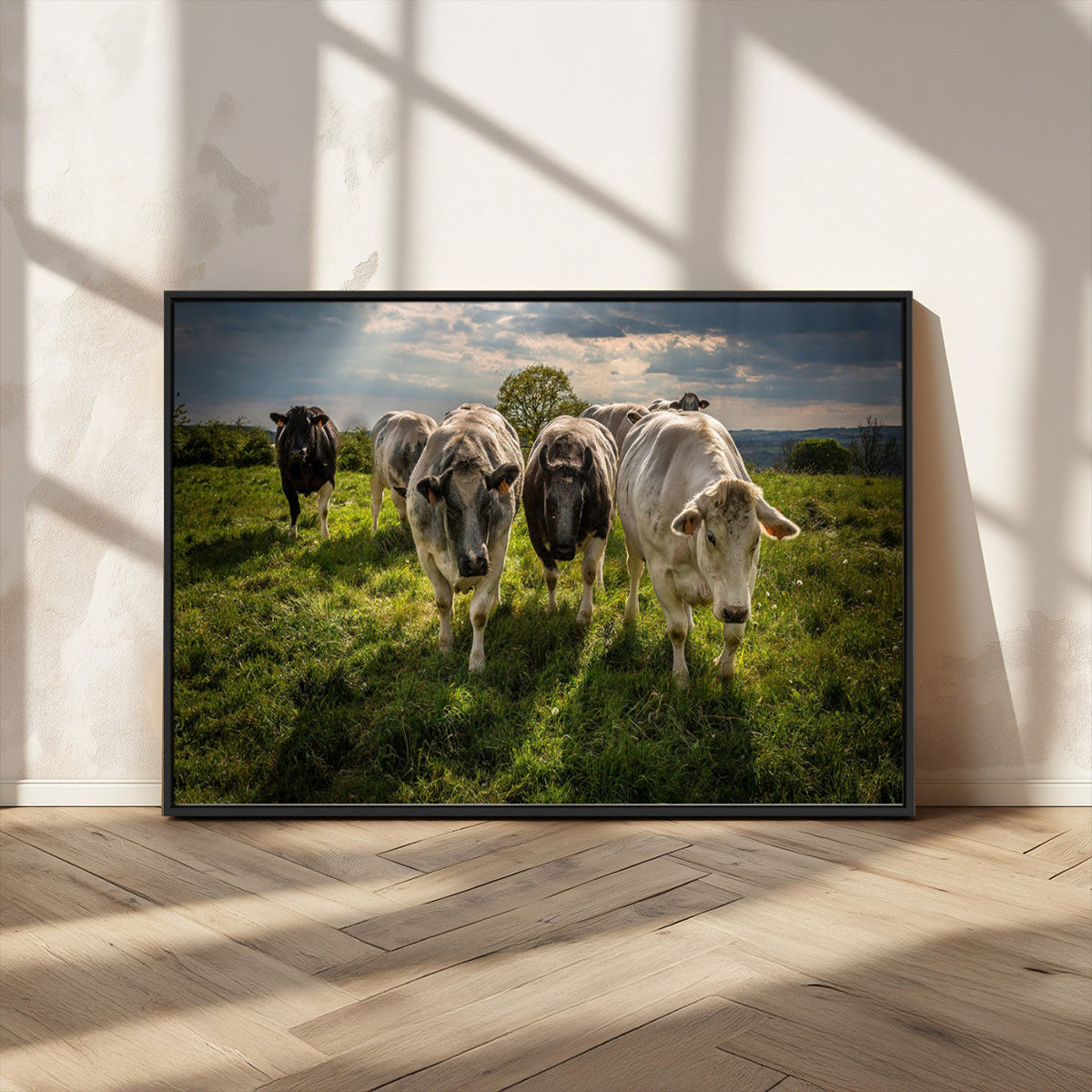 Grazing Cattle Herd Wall Art Canvas Print, Majestic Farm