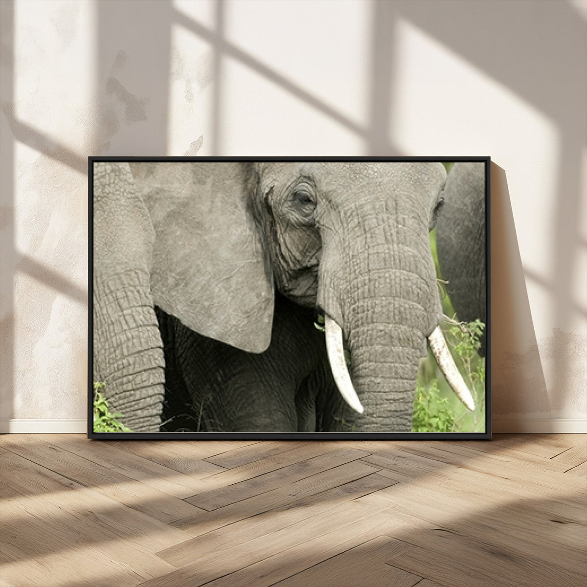 Wild Elephant Wall Art Canvas Print